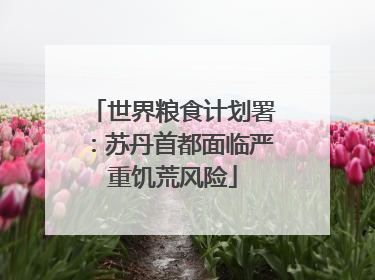 世界粮食计划署：苏丹首都面临严重饥荒风险