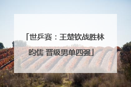 世乒赛：王楚钦战胜林昀儒 晋级男单四强