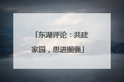 东湖评论：共建家园，思进图强