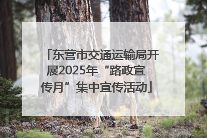 东营市交通运输局开展2025年“路政宣传月”集中宣传活动