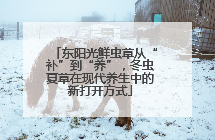 东阳光鲜虫草从“补”到“养”，冬虫夏草在现代养生中的新打开方式
