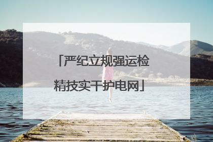 严纪立规强运检 精技实干护电网