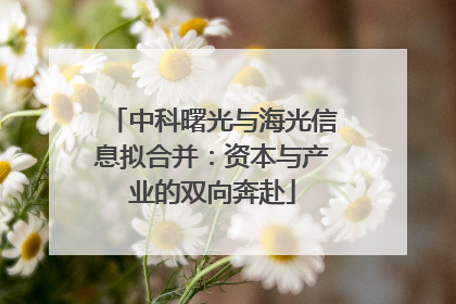中科曙光与海光信息拟合并：资本与产业的双向奔赴
