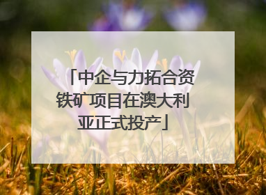 中企与力拓合资铁矿项目在澳大利亚正式投产