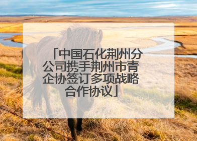 中国石化荆州分公司携手荆州市青企协签订多项战略合作协议