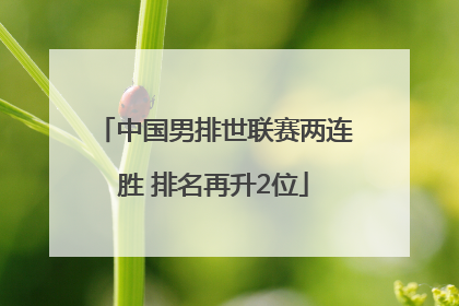 中国男排世联赛两连胜 排名再升2位