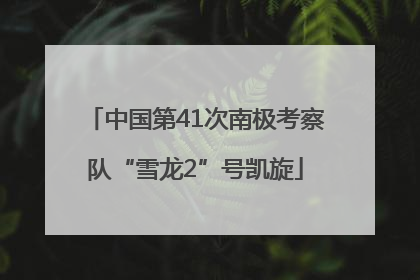 中国第41次南极考察队“雪龙2”号凯旋