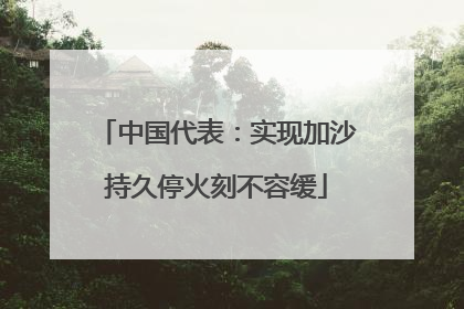 中国代表：实现加沙持久停火刻不容缓