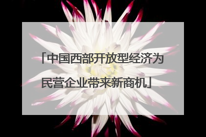 中国西部开放型经济为民营企业带来新商机