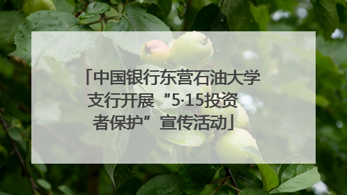 中国银行东营石油大学支行开展“5·15投资者保护”宣传活动