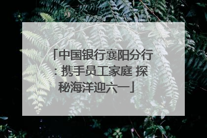 中国银行襄阳分行：携手员工家庭 探秘海洋迎六一