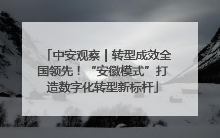中安观察｜转型成效全国领先！“安徽模式”打造数字化转型新标杆