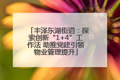 丰泽东湖街道：探索创新“1+4”工作法 助推党建引领物业管理提升