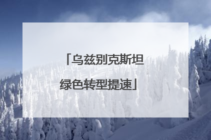 乌兹别克斯坦绿色转型提速