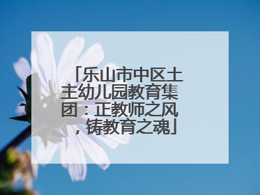 乐山市中区土主幼儿园教育集团：正教师之风，铸教育之魂