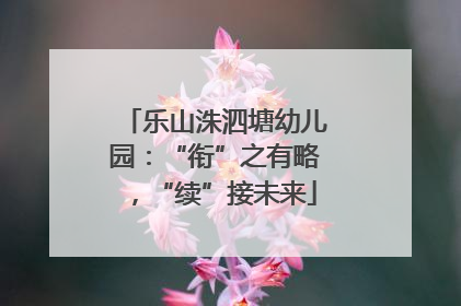 乐山洙泗塘幼儿园：“衔”之有略，“续”接未来