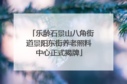 乐龄石景山八角街道景阳东街养老照料中心正式揭牌
