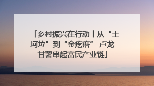 乡村振兴在行动丨从“土坷垃”到“金疙瘩” 卢龙甘薯串起富民产业链