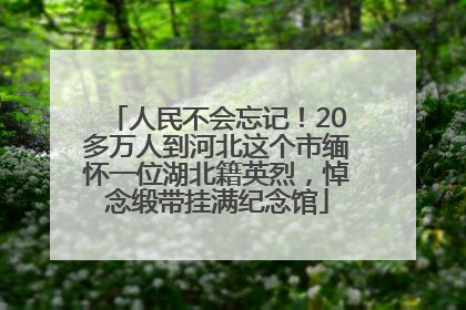 人民不会忘记！20多万人到河北这个市缅怀一位湖北籍英烈，悼念缎带挂满纪念馆