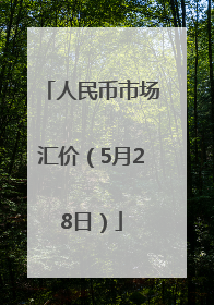 人民币市场汇价（5月28日）