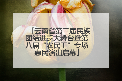 云南省第二届民族团结进步大舞台暨第八届“农民工”专场惠民演出启幕
