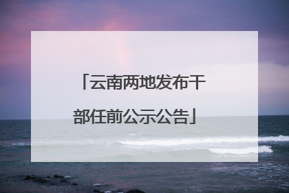 云南两地发布干部任前公示公告