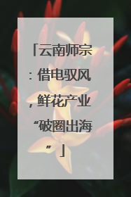 云南师宗：借电驭风，鲜花产业“破圈出海”