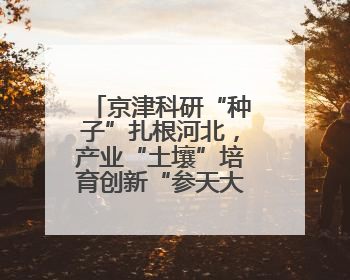 京津科研“种子”扎根河北，产业“土壤”培育创新“参天大树”