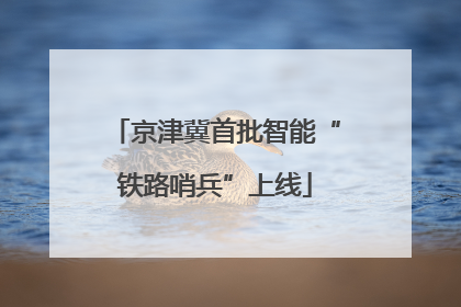 京津冀首批智能“铁路哨兵”上线