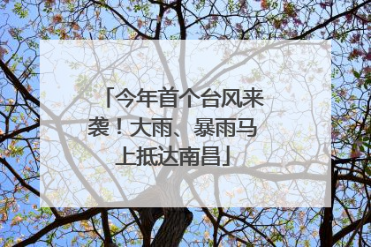 今年首个台风来袭！大雨、暴雨马上抵达南昌