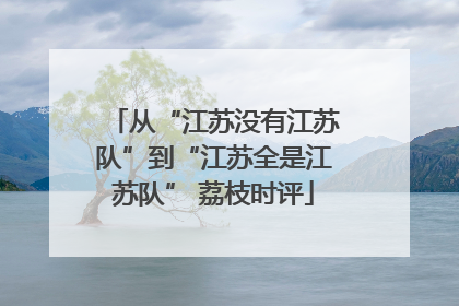 从“江苏没有江苏队”到“江苏全是江苏队” 荔枝时评