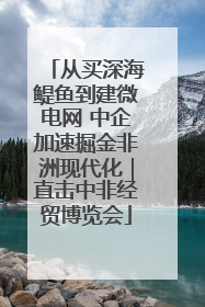 从买深海鳀鱼到建微电网 中企加速掘金非洲现代化｜直击中非经贸博览会