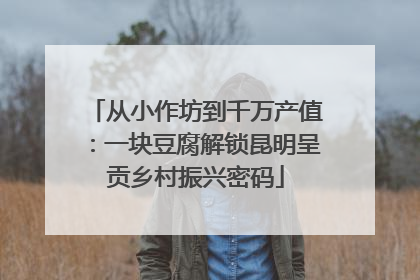 从小作坊到千万产值：一块豆腐解锁昆明呈贡乡村振兴密码