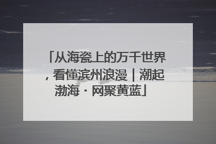 从海瓷上的万千世界，看懂滨州浪漫｜潮起渤海・网聚黄蓝