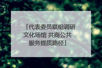 代表委员联组调研文化场馆 共商公共服务提质路径