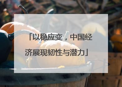 以稳应变，中国经济展现韧性与潜力