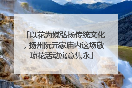 以花为媒弘扬传统文化，扬州阮元家庙内这场敬琼花活动寓意隽永