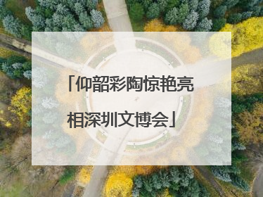 仰韶彩陶惊艳亮相深圳文博会