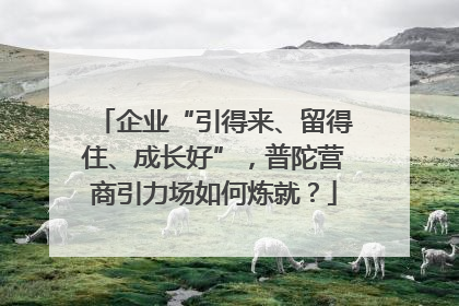 企业“引得来、留得住、成长好”，普陀营商引力场如何炼就？