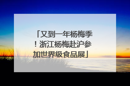 又到一年杨梅季！浙江杨梅赴沪参加世界级食品展