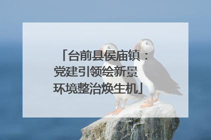 台前县侯庙镇：党建引领绘新景 环境整治焕生机