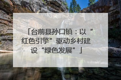 台前县孙口镇：以“红色引擎”驱动乡村建设“绿色发展”