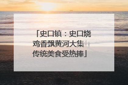 史口镇：史口烧鸡香飘黄河大集 传统美食受热捧