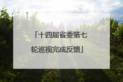 十四届省委第七轮巡视完成反馈
