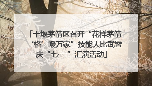 十堰茅箭区召开“花样茅箭‘格’暖万家”技能大比武暨庆“七·一”汇演活动
