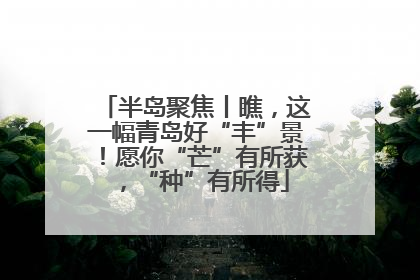 半岛聚焦丨瞧，这一幅青岛好“丰”景！愿你“芒”有所获，“种”有所得