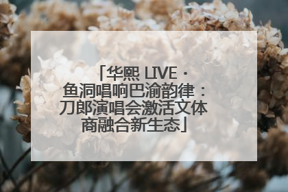 华熙 LIVE・鱼洞唱响巴渝韵律：刀郎演唱会激活文体商融合新生态