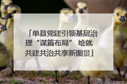 单县党建引领基层治理“谋篇布局” 绘就共建共治共享新图景