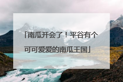 南瓜开会了！平谷有个可可爱爱的南瓜王国