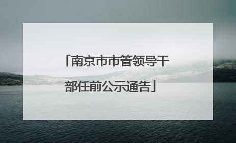 南京市市管领导干部任前公示通告